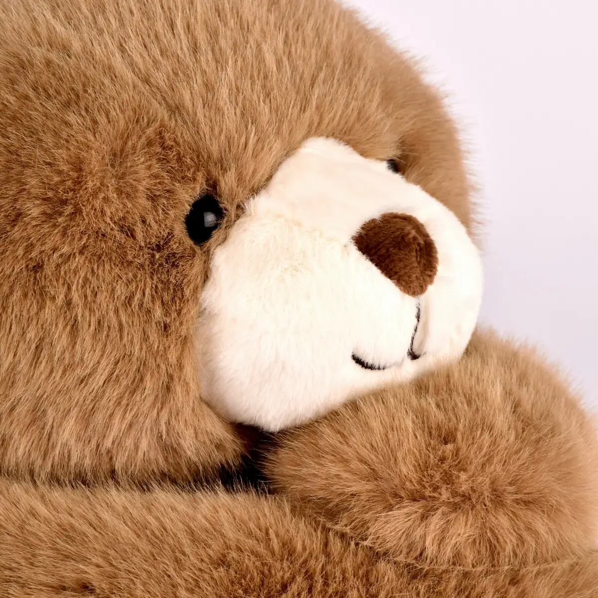 Peluche, Ours Lestées