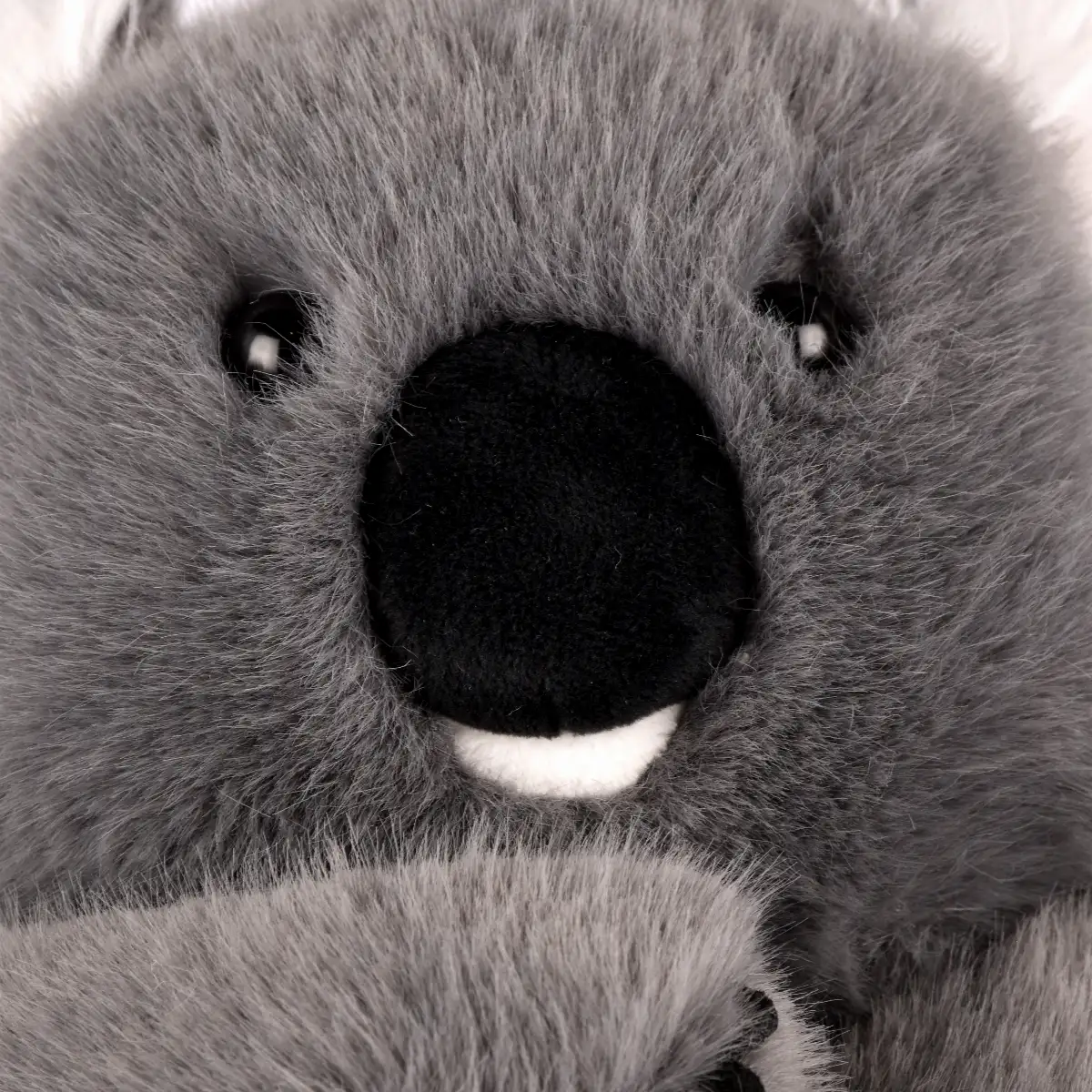 Peluche, Koala Lestées