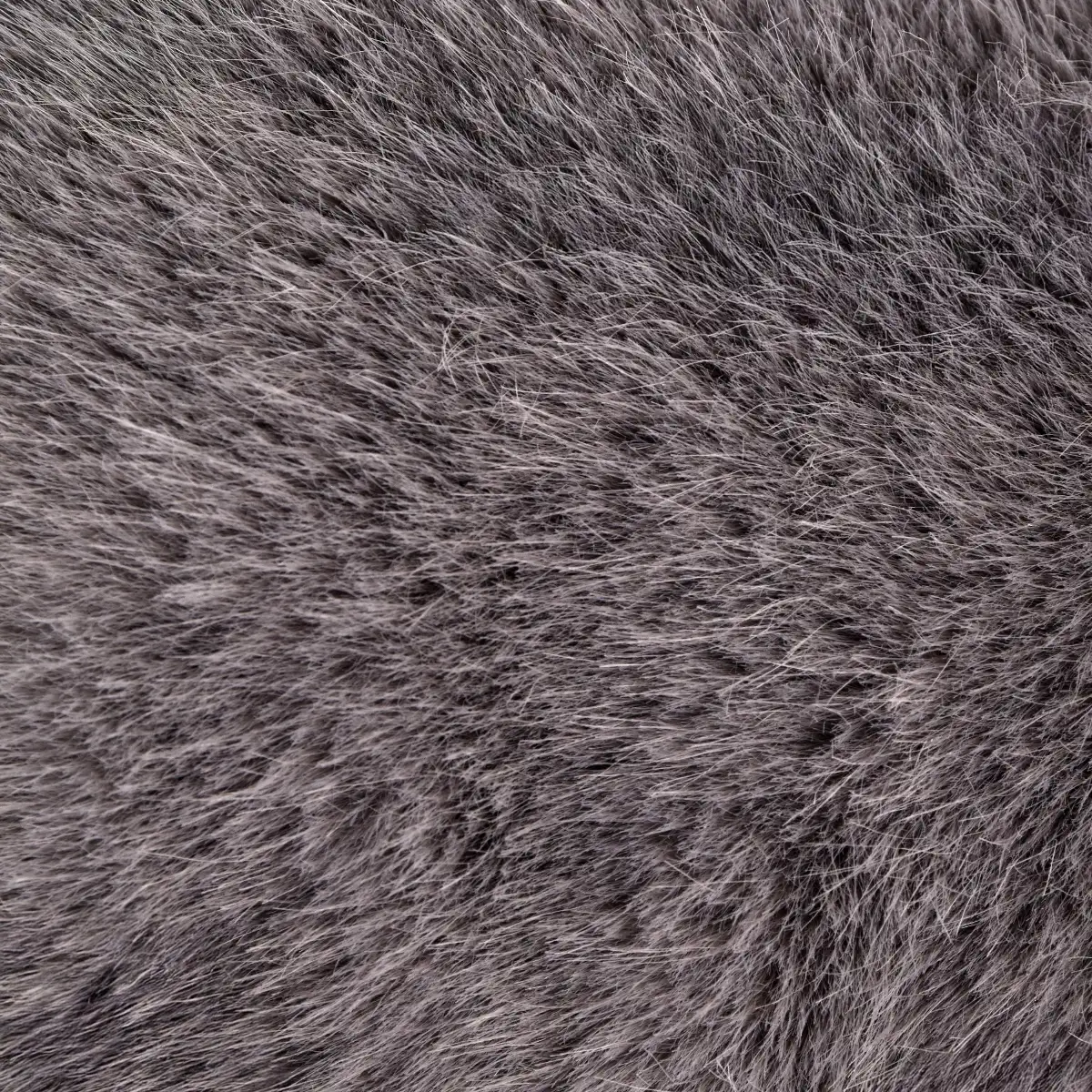 Peluche, Koala Lestées