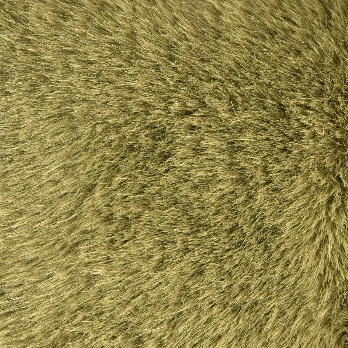 Peluche, Dinosaure Lestées